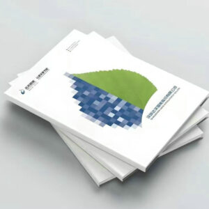 Custom Business Catalog Introduction Brochure FY101