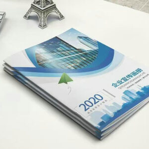 Alternative view of Custom Business Catalog Introduction Brochure FY101