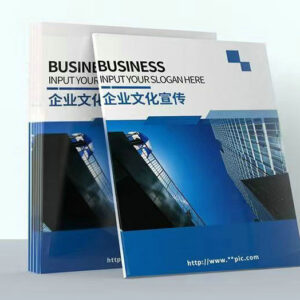 Custom Business Catalog Introduction Brochure FY101 - Image 3