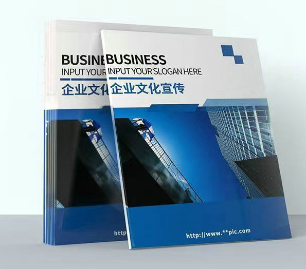 Custom Business Catalog Introduction Brochure FY101 - Image 3