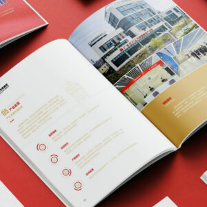 Custom Design Printing Service for Business Flyer FY102