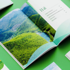 Alternative view of Custom Design Printing Leaflets Instructions FY103
