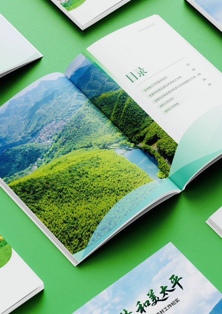 Custom Design Printing Leaflets Instructions FY103 - Image 2