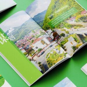 Custom Design Printing Leaflets Instructions FY103 - Image 3