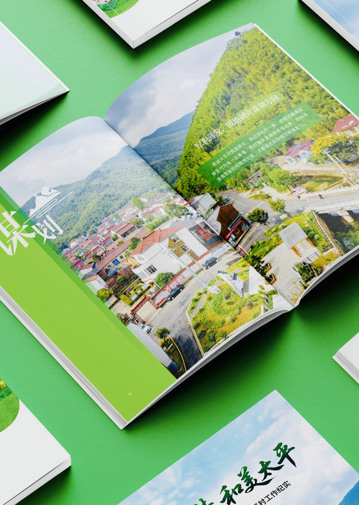Custom Design Printing Leaflets Instructions FY103 - Image 3