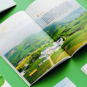 Custom Design Printing Leaflets Instructions FY103 - Image 4