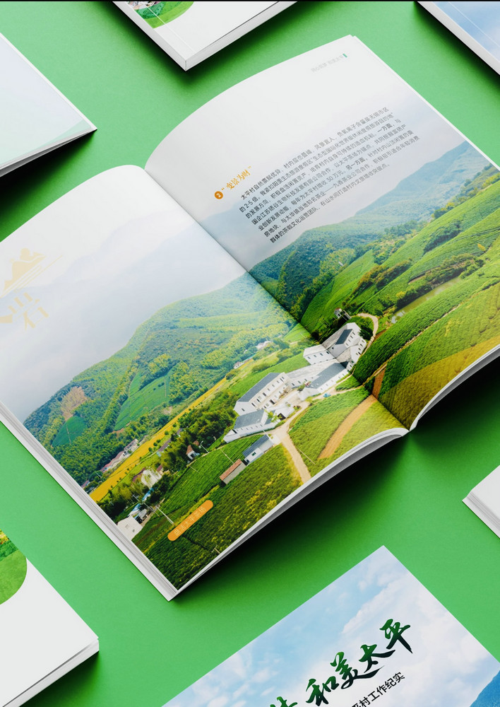 Custom Design Printing Leaflets Instructions FY103 - Image 4
