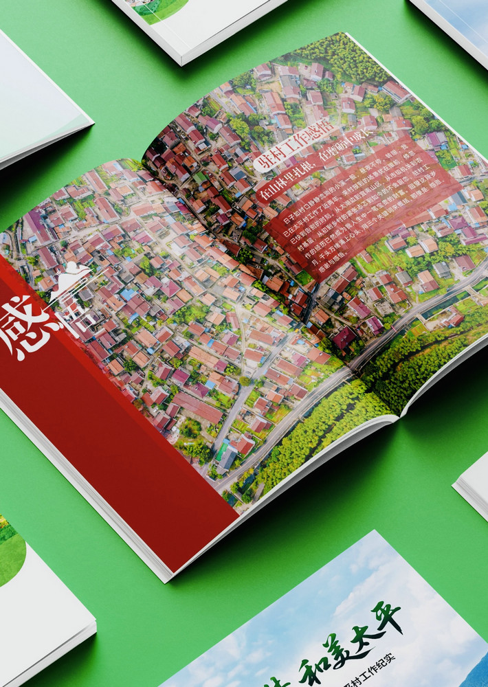 Custom Design Printing Leaflets Instructions FY103 - Image 5