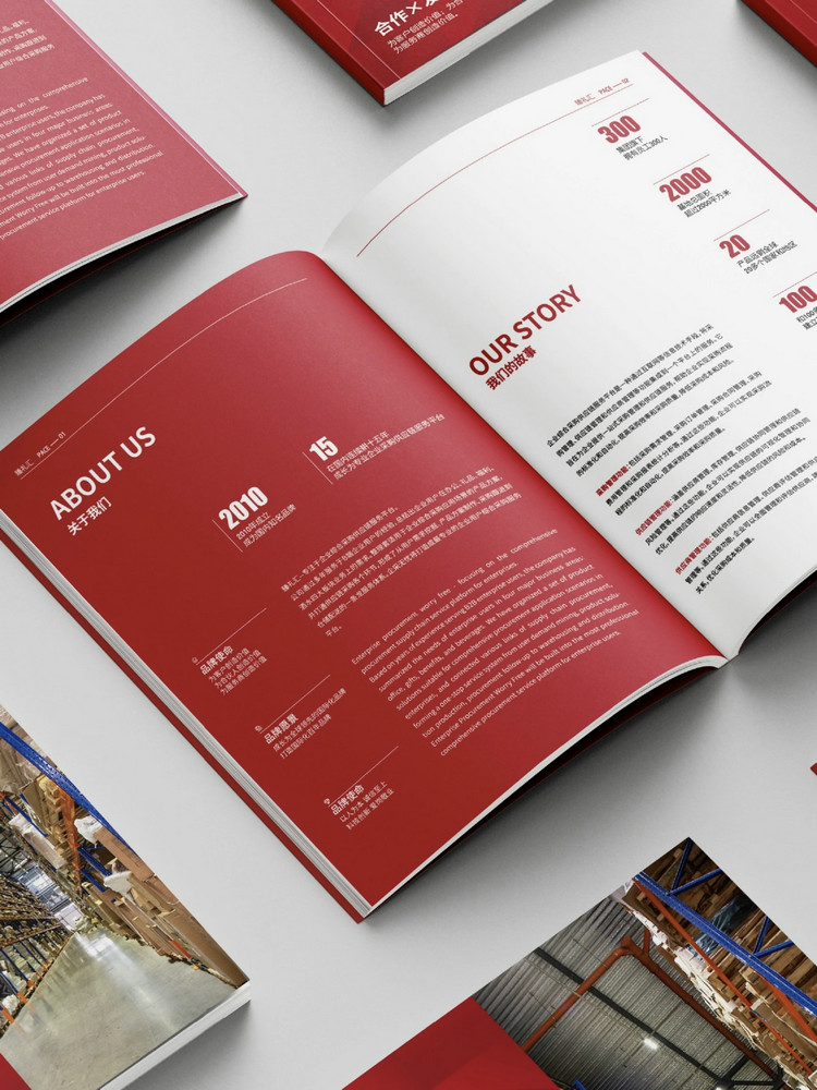 Custom Business Catalog Products Sheet Printing FY107