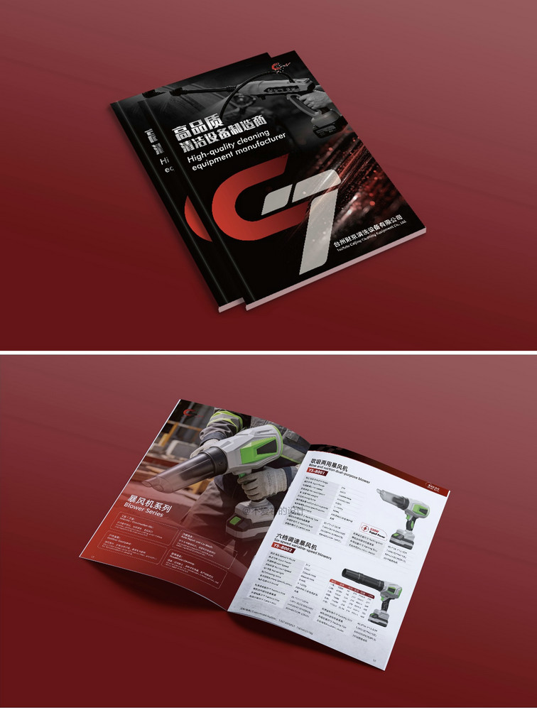 Custom Business Catalog Products Sheet Printing FY107 - Image 3
